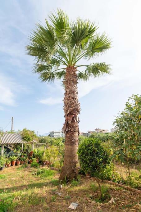 Apartamento Dream House Preveza Exterior foto